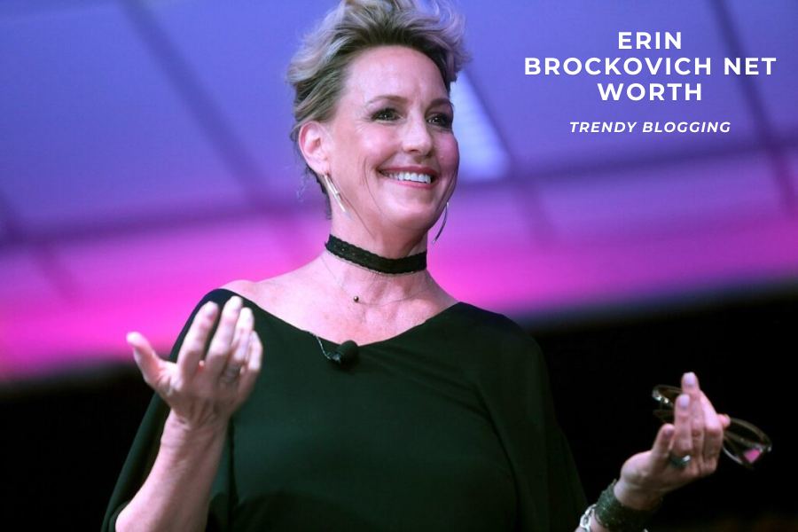 Erin Brockovich Net Worth