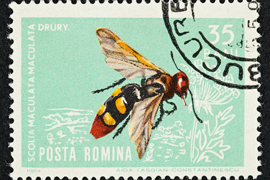 Marfusha Romania Stamp